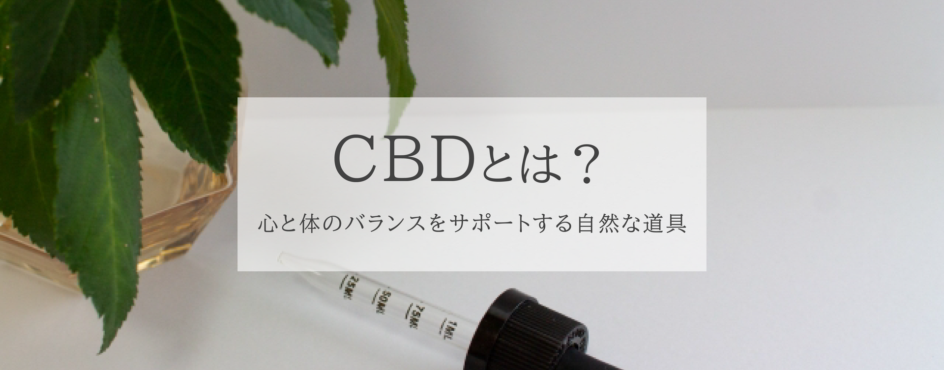 CBDとは?〜心と体のバランスをサポートする自然な道具〜