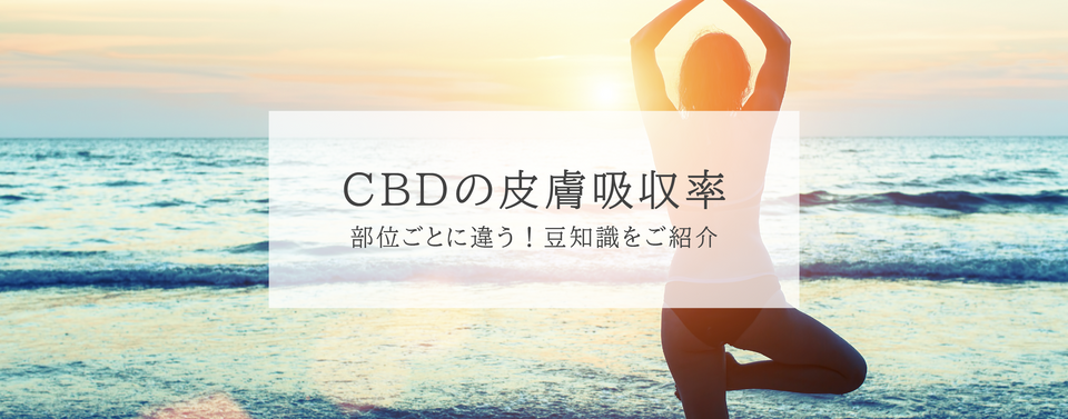 肌に塗るだけでも効果が!CBDの皮膚吸収率