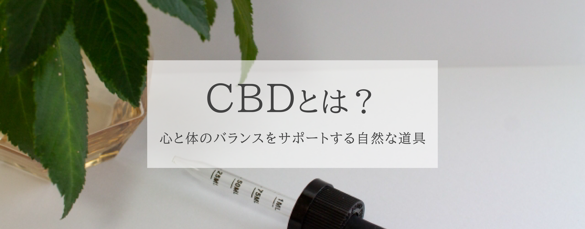 CBDとは？〜心と体のバランスをサポートする自然な道具〜