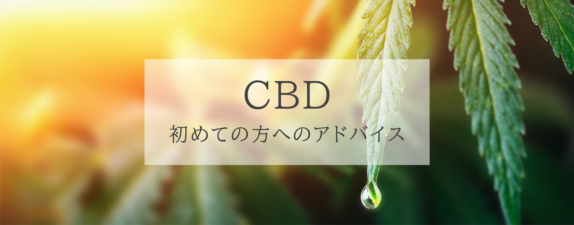 CBDの使い方ガイド：初めての方へのアドバイス