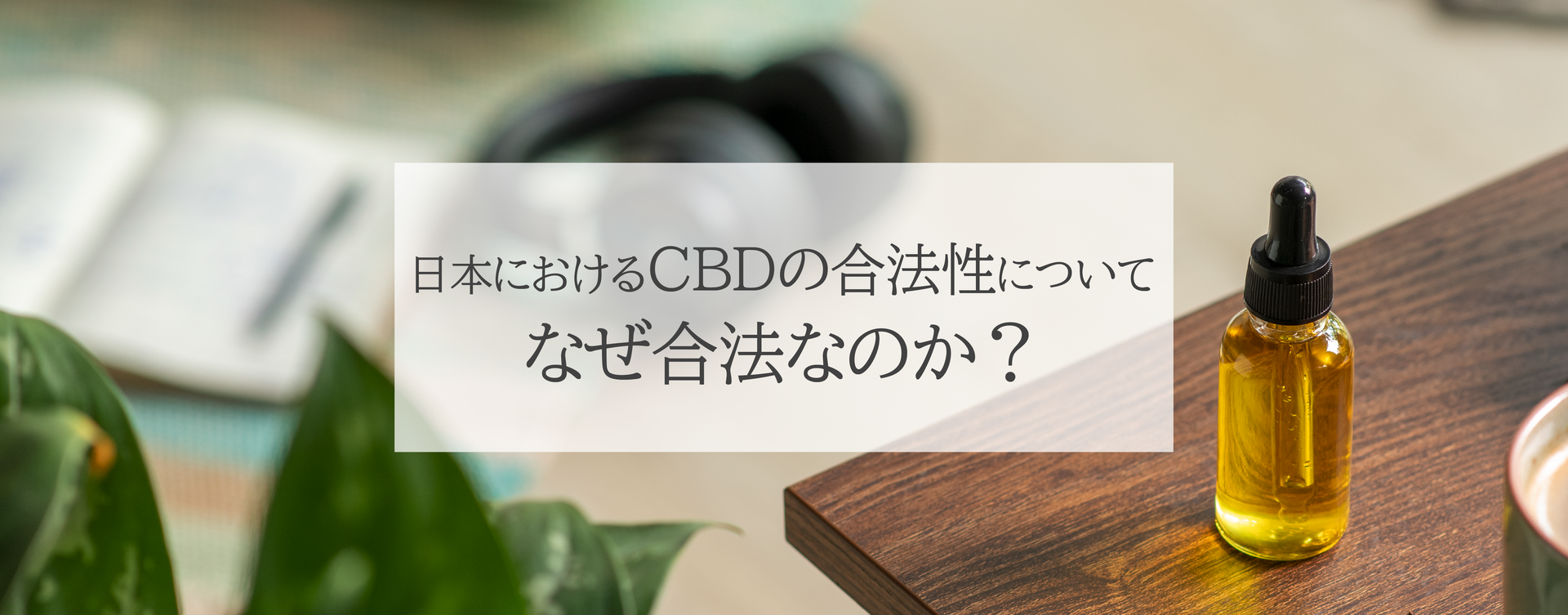 日本におけるCBDの合法性について解説