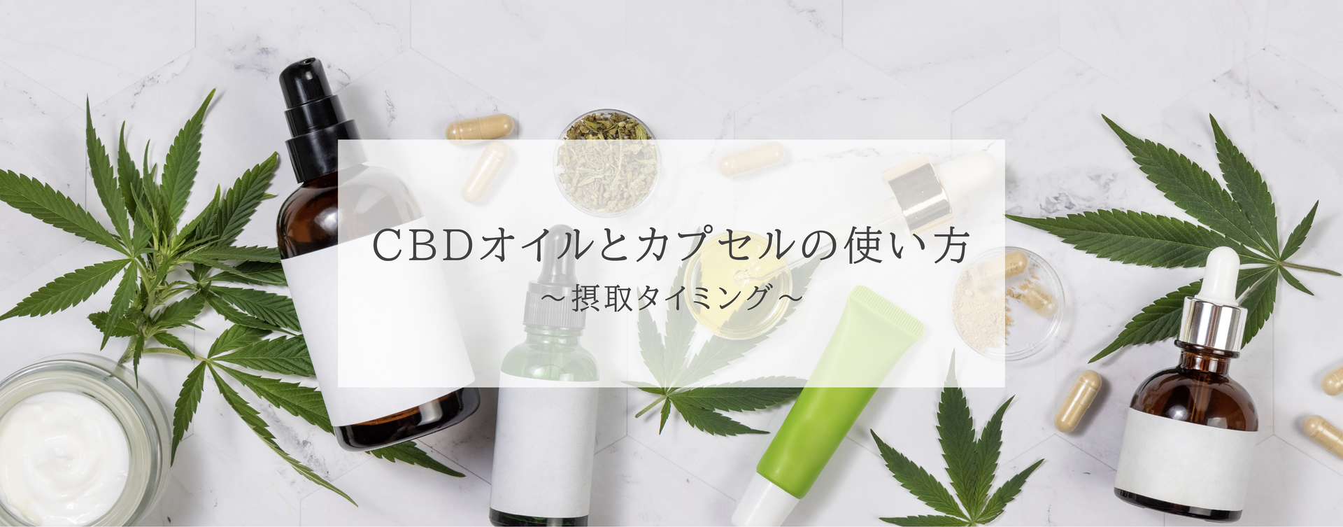 【初心者必須】CBDオイルとカプセルの使い方と摂取タイミング